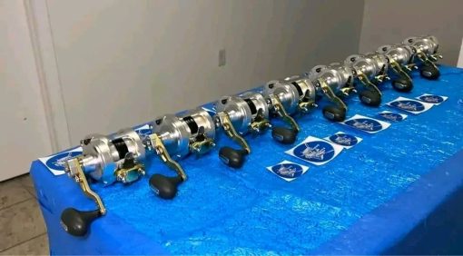8 Talicas in total, 4 20’s and 4 25’s - Image 3