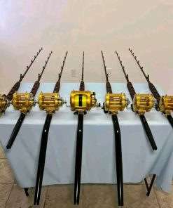 7 Penn International 2 speed reels