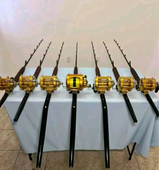 7 Penn International 2 speed reels