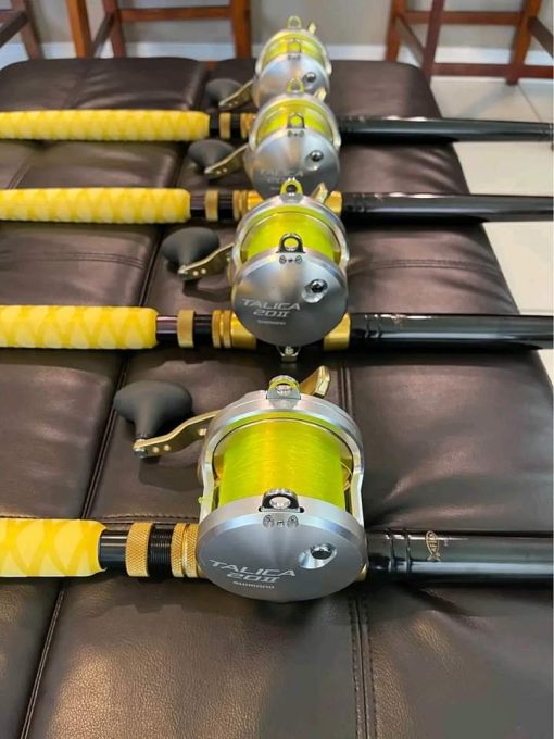 4 New Shimano Talica 20II 2 Speed reel with rods - Image 2